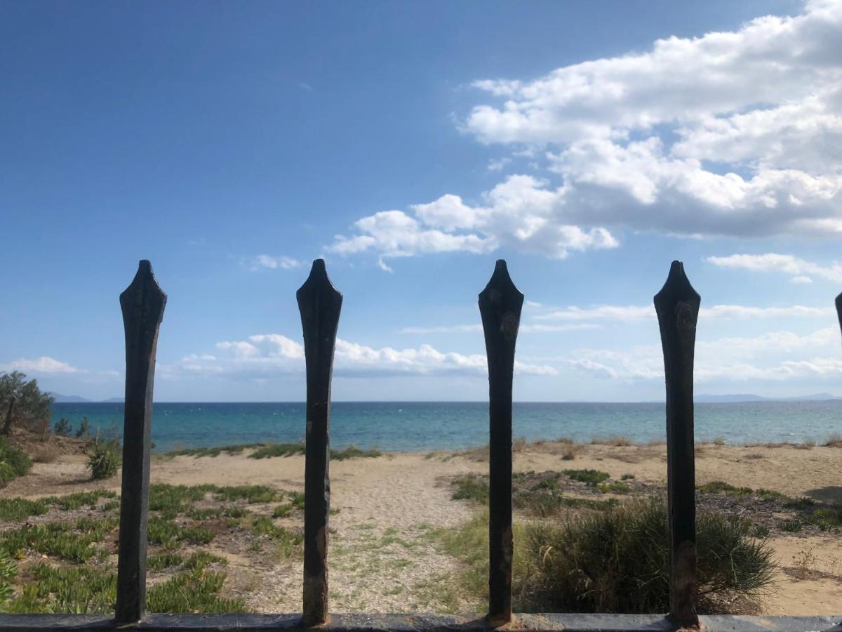 Beachfront Villa Hoopoe Schinias, Marathon Exterior photo