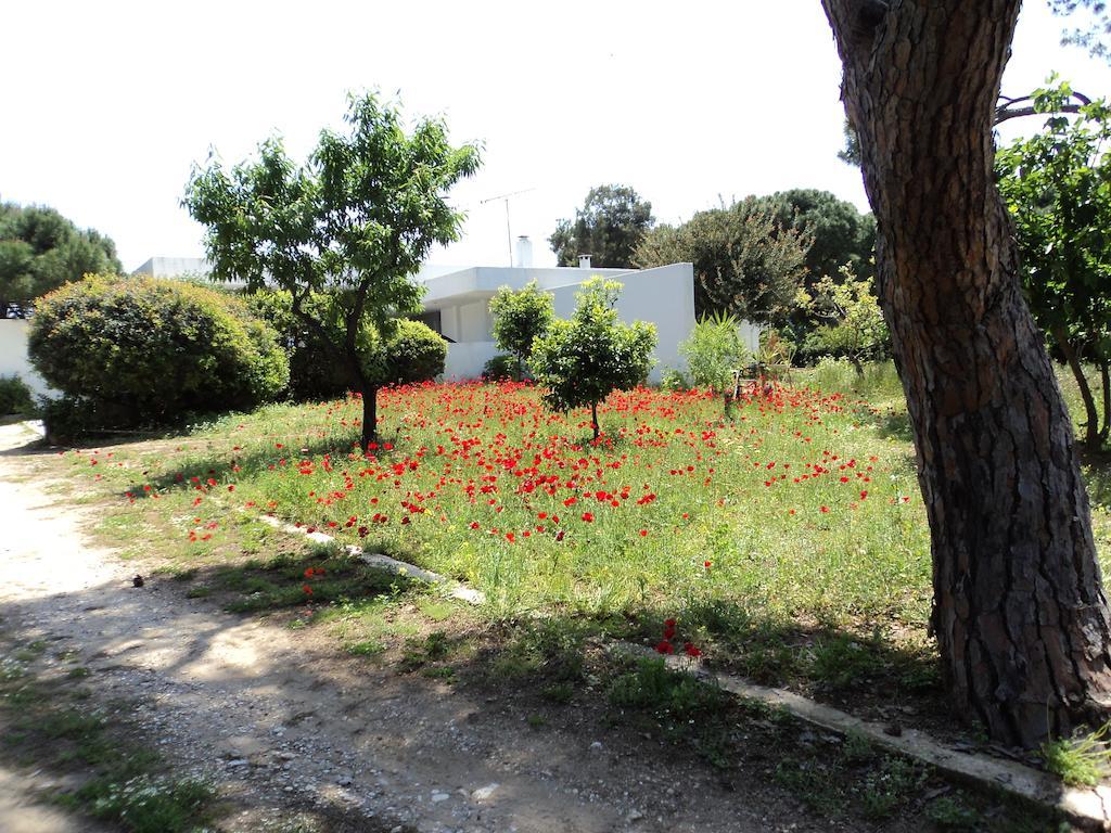 Beachfront Villa Hoopoe Schinias, Marathon Room photo